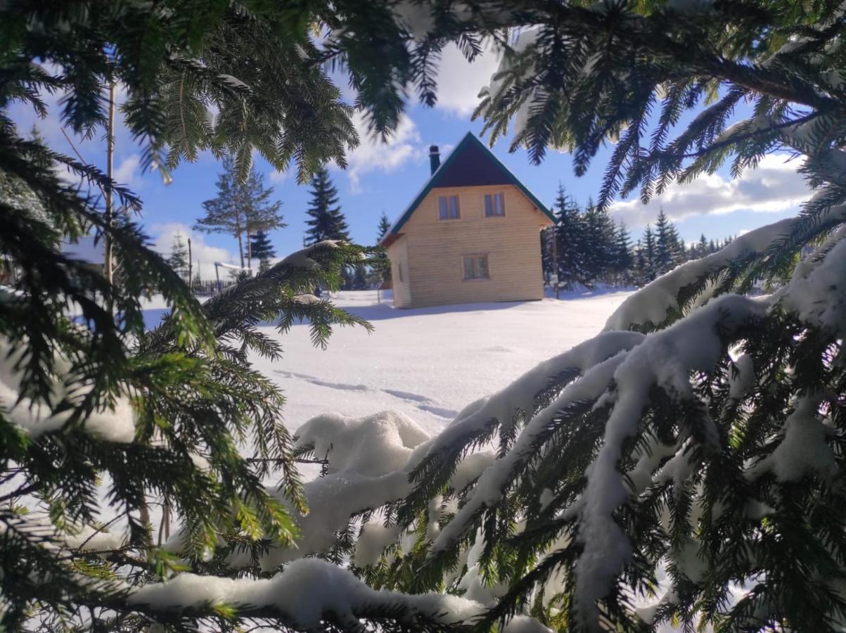Eco House Villa Zabljak  Exterior photo