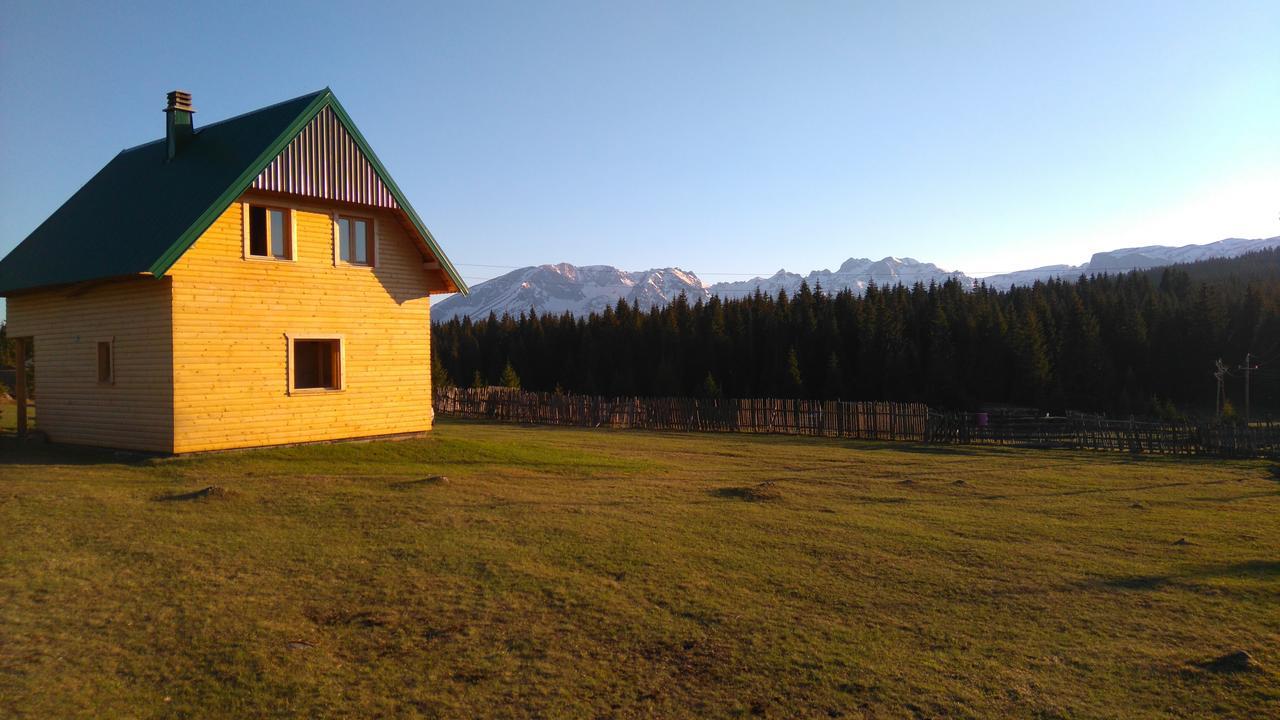 Eco House Villa Zabljak  Exterior photo