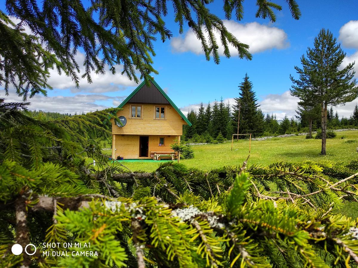 Eco House Villa Zabljak  Exterior photo